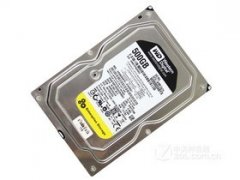 500GB 7200ת 64MB SATA2 RE4WD5003ABYX